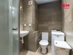 Pronájem bytu 1+kk, Mariánské Lázně - Úšovice, Česká, 20 m2