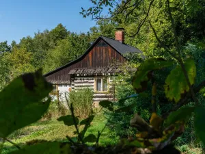 Prodej rodinného domu, Rychvald, Lesnická, 63 m2