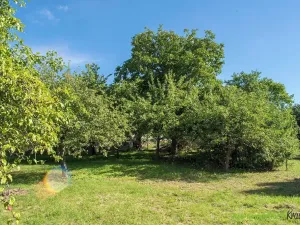 Prodej rodinného domu, Skořice, 137 m2