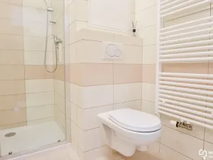Pronájem bytu 1+kk, Olomouc, Horní lán, 24 m2