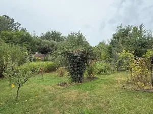 Prodej chaty, Horní Stropnice, 20 m2