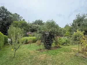 Prodej chaty, Horní Stropnice, 20 m2