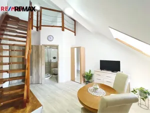 Prodej ubytování, Volary, K. V. Raise, 392 m2