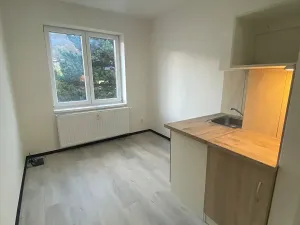 Pronájem bytu 1+kk, Praha - Hlubočepy, Na Zlíchově, 18 m2