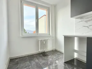 Prodej bytu 3+1, Ústí nad Labem - Krásné Březno, U Pivovarské zahrady, 66 m2
