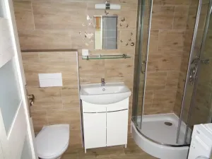 Pronájem bytu 2+kk, Janovice nad Úhlavou, Rozvojová zóna, 44 m2