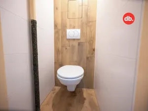 Pronájem bytu 2+1, Nová Role, Tovární, 59 m2