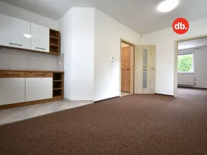Pronájem bytu 2+kk, Ostrov, Karlovarská, 52 m2