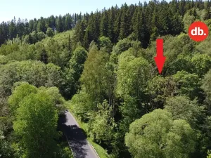 Prodej pozemku, Merklín, 3609 m2