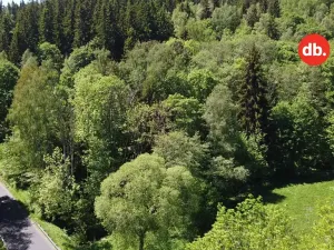 Prodej pozemku, Merklín, 3609 m2