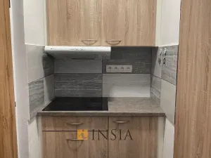 Prodej bytu 1+kk, Český Krumlov - Nové Spolí, 20 m2