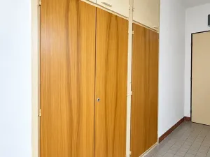 Prodej bytu 3+1, Plzeň, Raisova, 65 m2