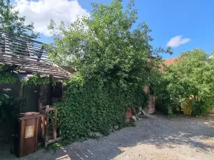 Prodej rodinného domu, Žďárná, 200 m2