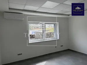 Pronájem skladu, Ostrava, Opavská, 501 m2