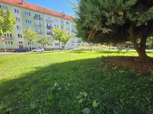 Prodej bytu 2+1, Kynšperk nad Ohří, náměstí SNP, 55 m2