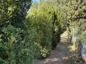Prodej chaty, Jaroměřice, 64 m2