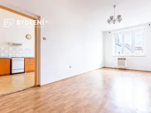 Prodej bytu 2+1, Světec, Kostomlatská, 77 m2