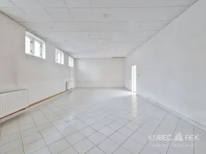 Prodej obchodního prostoru, Tábor, Nábřeží, 237 m2