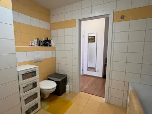 Prodej bytu 1+1, Karlovy Vary, Spálená, 50 m2