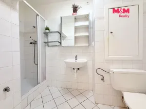 Prodej bytu 1+1, Milovice - Mladá, Braniborská, 27 m2