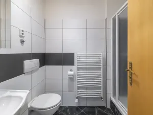 Pronájem bytu 4+kk, Praha, Havlíčkovy sady, 170 m2