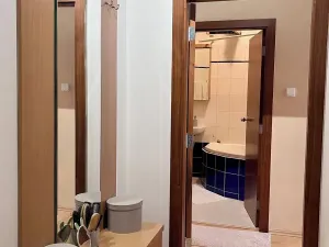 Prodej bytu 1+1, Praha - Vinohrady, Anny Letenské, 50 m2