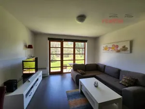 Prodej bytu 1+kk, Říčky v Orlických horách, 55 m2