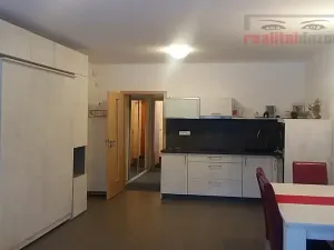 Prodej bytu 1+kk, Říčky v Orlických horách, 55 m2
