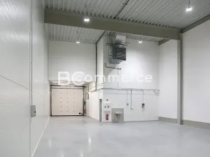 Pronájem skladu, Moravany, Průmyslová, 325 m2