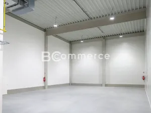 Pronájem skladu, Moravany, Průmyslová, 325 m2