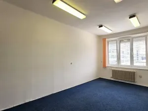 Pronájem kanceláře, Praha - Dejvice, Velflíkova, 20 m2