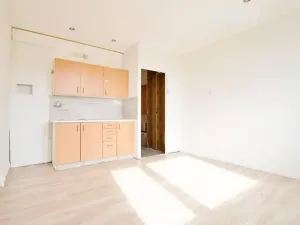 Pronájem bytu 1+kk, Žatec, Ostrov, 20 m2