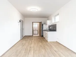 Pronájem bytu 1+kk, Mladá Boleslav, 29 m2