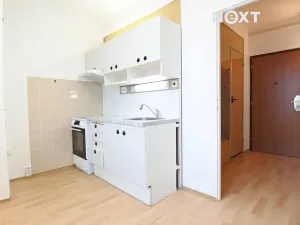 Pronájem bytu 1+1, České Budějovice, Netolická, 31 m2