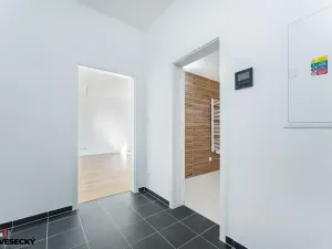 Prodej bytu 1+kk, Plzeň, Železná, 34 m2