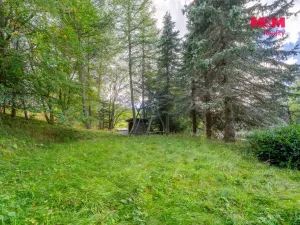 Prodej rodinného domu, Loučná pod Klínovcem - Loučná, 270 m2