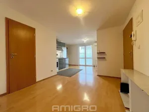 Pronájem bytu 3+kk, Brno, Merhautova, 65 m2