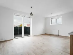 Prodej bytu 1+kk, Heřmanova Huť, U Pondu, 35 m2
