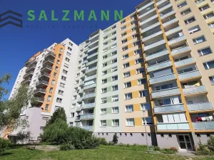 Prodej bytu 1+kk, Praha - Kamýk, Otradovická, 35 m2