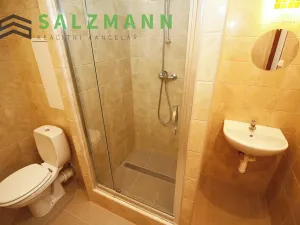 Prodej bytu 1+kk, Praha - Kamýk, Otradovická, 35 m2