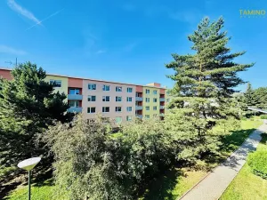 Pronájem bytu 1+1, Třebíč, Tolstého, 31 m2