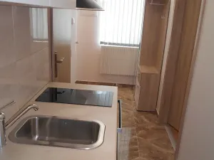 Pronájem bytu 1+kk, Praha - Žižkov, Hájkova, 40 m2