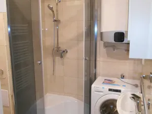 Pronájem bytu 1+kk, Praha - Žižkov, Hájkova, 40 m2