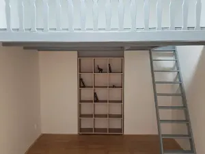 Pronájem bytu 1+kk, Praha - Žižkov, Hájkova, 40 m2