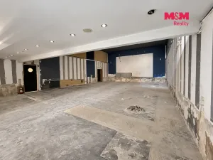Pronájem obchodního prostoru, Jesenice, Budějovická, 237 m2