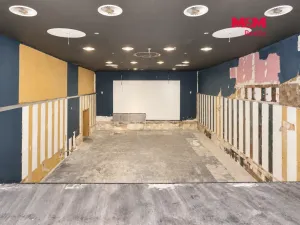 Pronájem obchodního prostoru, Jesenice, Budějovická, 237 m2