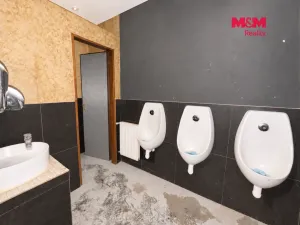 Pronájem obchodního prostoru, Jesenice, Budějovická, 237 m2