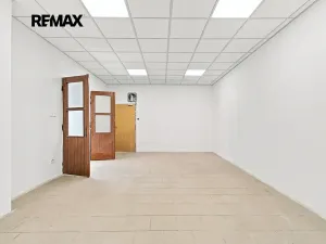 Pronájem obchodního prostoru, Přeštice, Masarykovo nám., 171 m2