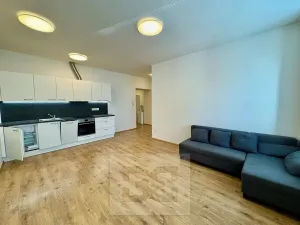 Pronájem bytu 2+kk, Brno, Stavební, 60 m2