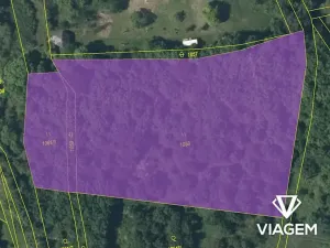 Prodej podílu lesa, Žitenice, 1311 m2